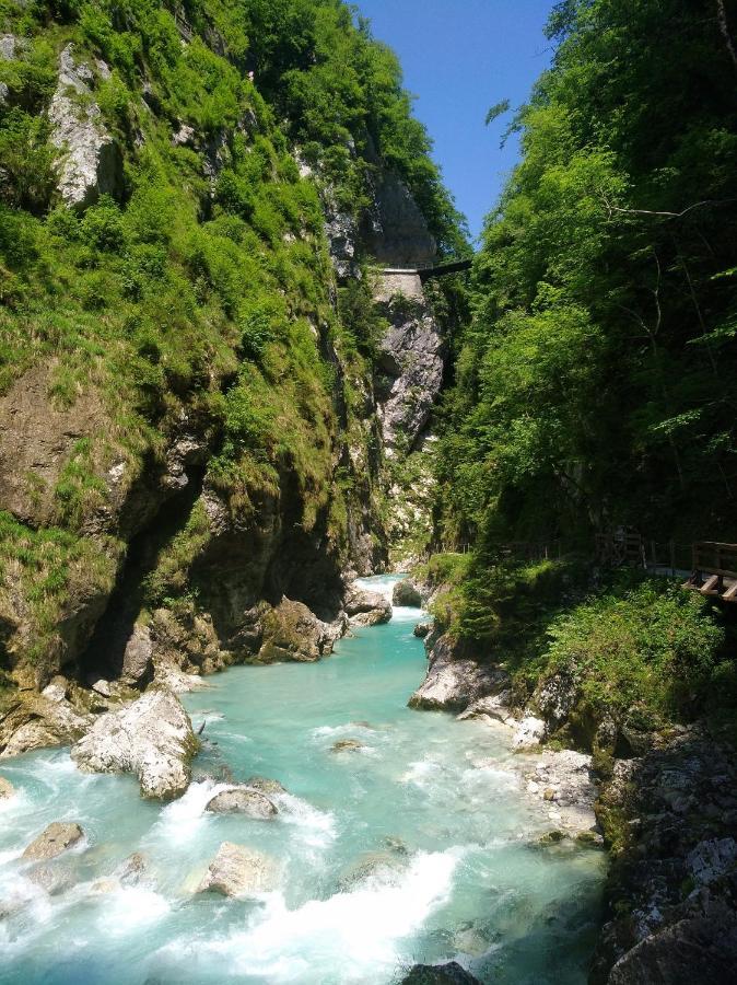 Apartma Gorjan Tolmin Esterno foto