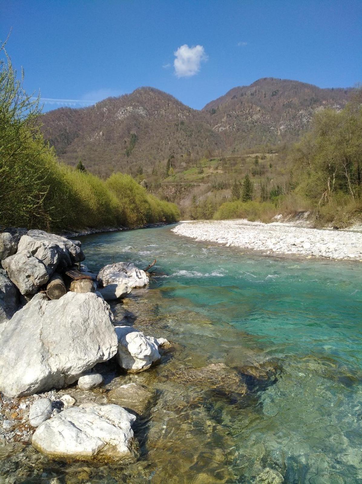 Apartma Gorjan Tolmin Esterno foto