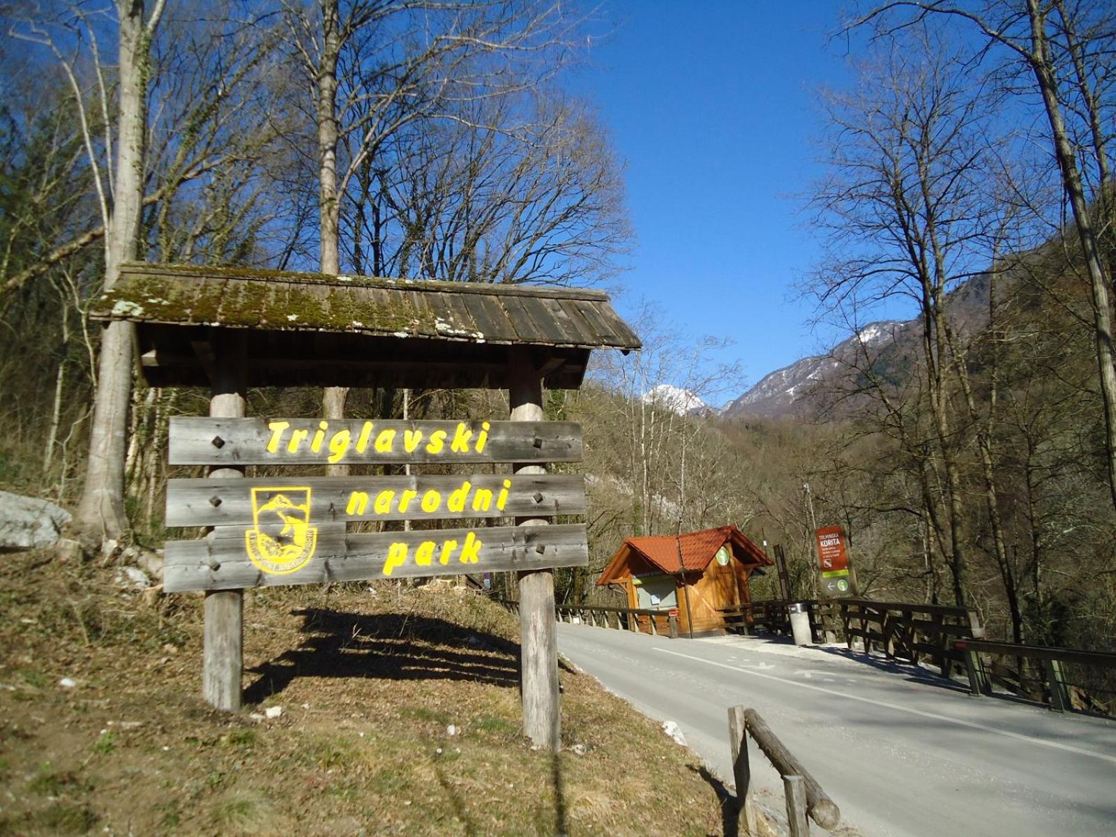 Apartma Gorjan Tolmin Esterno foto